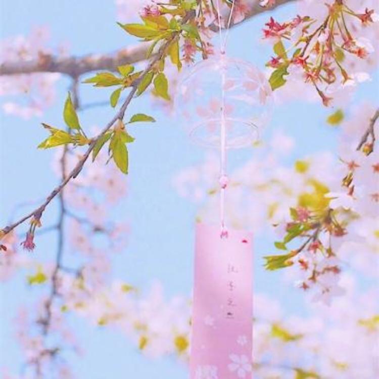 佐藤健（饰 绯村剑心） - 手机端流畅在线观看 - 平板直播